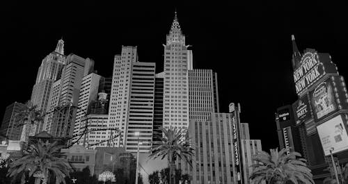 Bonuskoodi Paflyfish: Parhaat Tarjoukset Ja Koodit Kalastukseen Ja Virtuaalikasinoihin